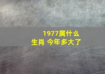 1977属什么生肖 今年多大了